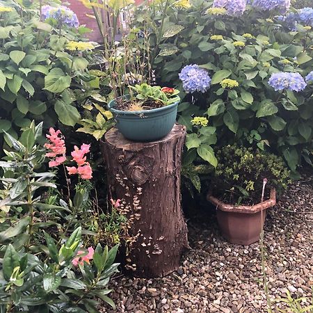 Ponderosea Cottage Free Gated Parking M1 & City Location, Wood Stove Lisburn Kültér fotó