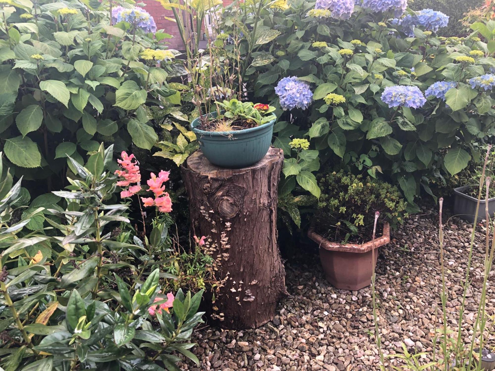 Ponderosea Cottage Free Gated Parking M1 & City Location, Wood Stove Lisburn Kültér fotó